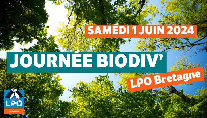 Journée Biodiv' de la LPO Bretagne : toutes les infos !